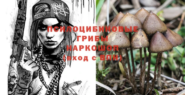 мескалин Нефтегорск