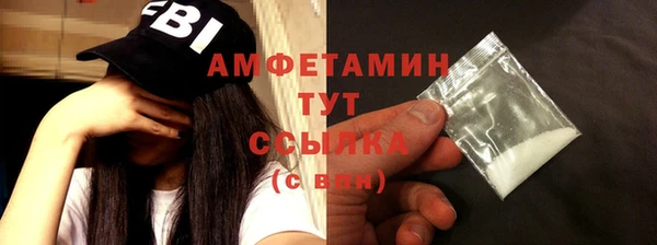 ешки Новодвинск