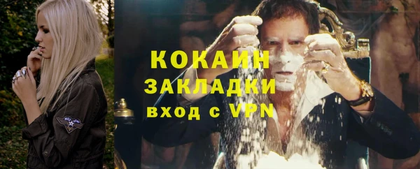 ешки Новодвинск