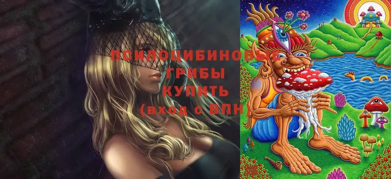 Галлюциногенные грибы GOLDEN TEACHER  Кириши 