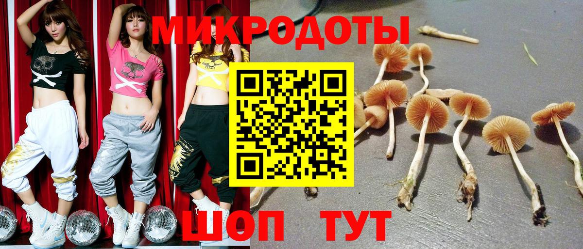 Галлюциногенные грибы MAGIC MUSHROOMS Кириши