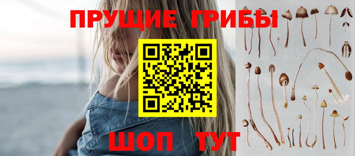 Псилоцибиновые грибы ЛСД  Псилоцибиновые грибы GOLDEN TEACHER  Кириши 