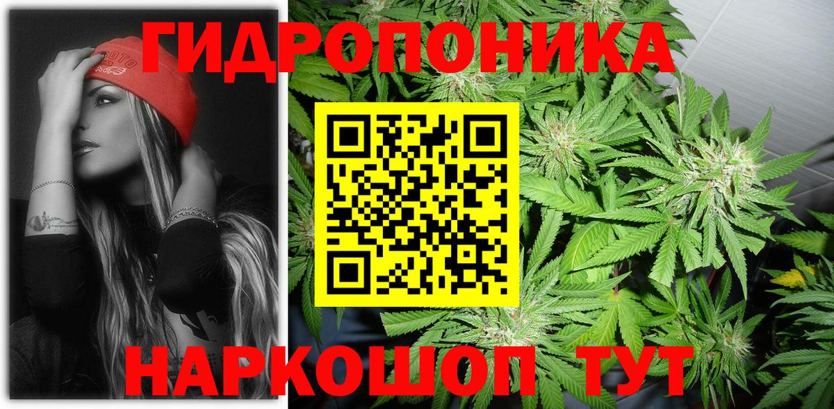 Кириши  Конопля марихуана  Вход с VPN  Шишки марихуана SATIVA & INDICA 